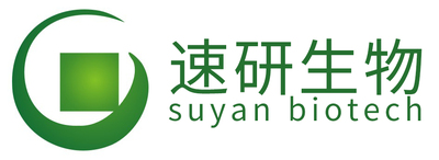 BV板滤纸