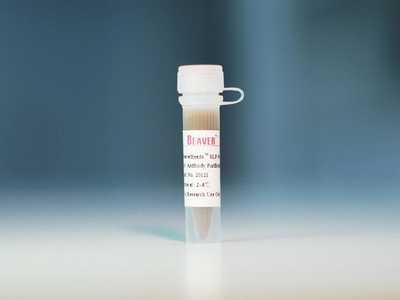 Protein A/G抗体纯化试剂盒