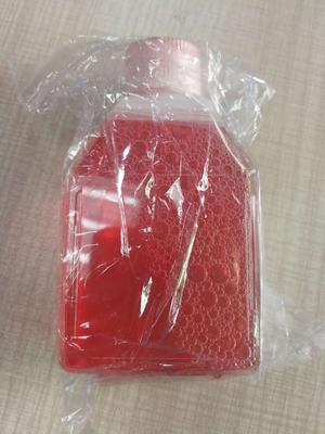 猪甲状腺上皮细胞（原代细胞）