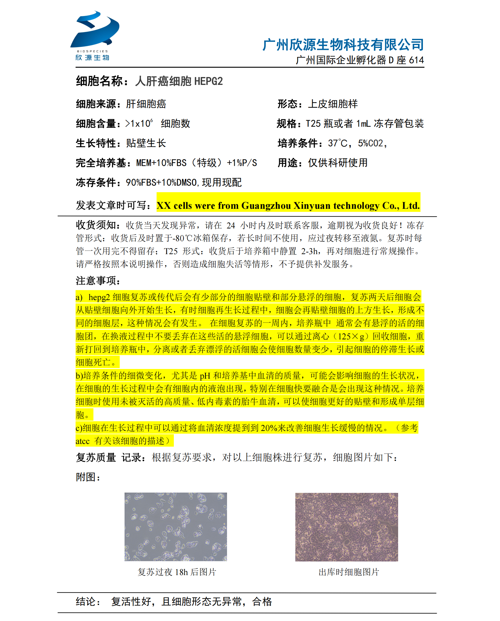 HepG2细胞说明书_00.png
