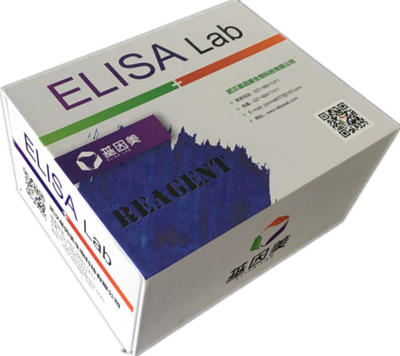 大鼠白介素2受体(IL-2R)ELISA Kit