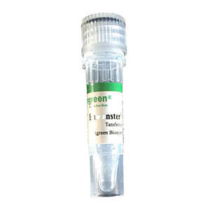 EntransterTM-in vivo DNA 动物体内DNA转染试剂0.5ml